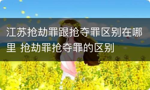 江苏抢劫罪跟抢夺罪区别在哪里 抢劫罪抢夺罪的区别