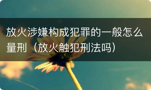 放火涉嫌构成犯罪的一般怎么量刑（放火触犯刑法吗）