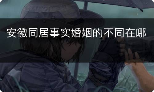 安徽同居事实婚姻的不同在哪