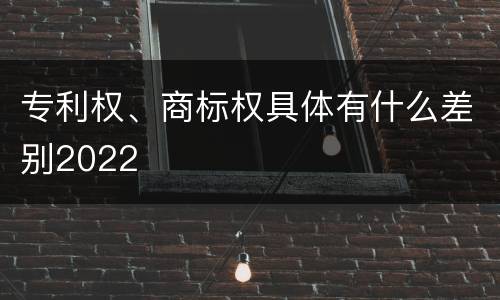 专利权、商标权具体有什么差别2022