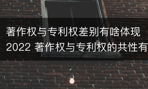 著作权与专利权差别有啥体现2022 著作权与专利权的共性有