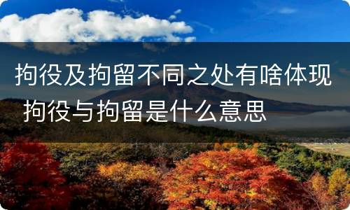 拘役及拘留不同之处有啥体现 拘役与拘留是什么意思