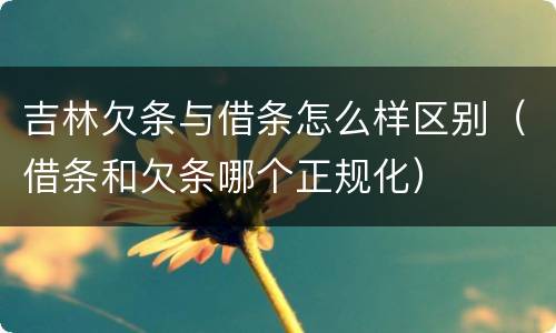 吉林欠条与借条怎么样区别（借条和欠条哪个正规化）
