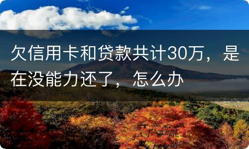 欠信用卡和贷款共计30万，是在没能力还了，怎么办