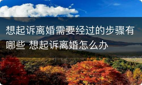 想起诉离婚需要经过的步骤有哪些 想起诉离婚怎么办