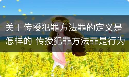 关于传授犯罪方法罪的定义是怎样的 传授犯罪方法罪是行为犯吗