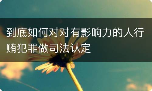 到底如何对对有影响力的人行贿犯罪做司法认定