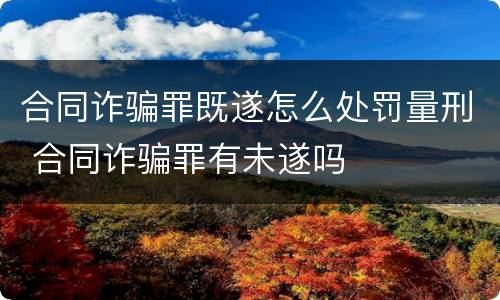 合同诈骗罪既遂怎么处罚量刑 合同诈骗罪有未遂吗