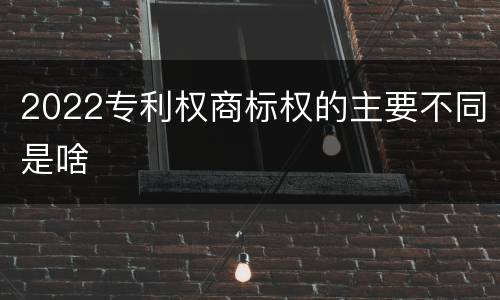2022专利权商标权的主要不同是啥
