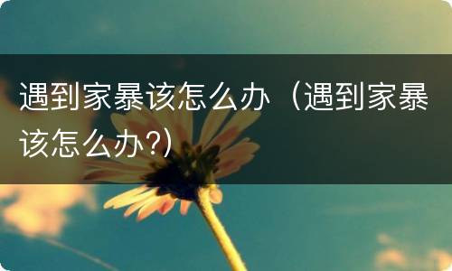 遇到家暴该怎么办（遇到家暴该怎么办?）