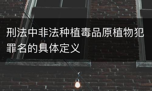 刑法中非法种植毒品原植物犯罪名的具体定义