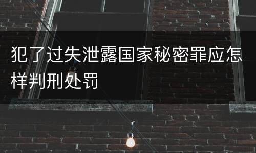 犯了过失泄露国家秘密罪应怎样判刑处罚