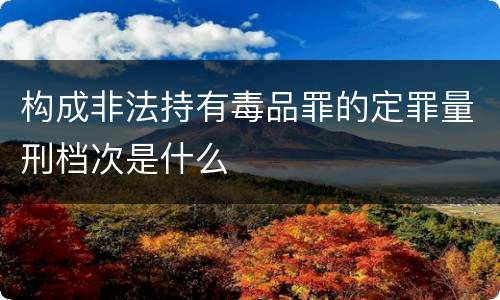 构成非法持有毒品罪的定罪量刑档次是什么