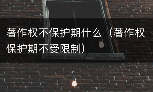 著作权不保护期什么（著作权保护期不受限制）