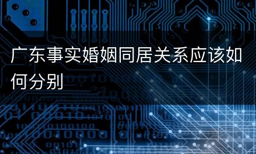 广东事实婚姻同居关系应该如何分别