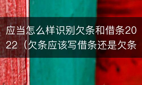 应当怎么样识别欠条和借条2022（欠条应该写借条还是欠条）