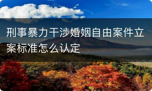 刑事暴力干涉婚姻自由案件立案标准怎么认定