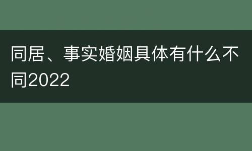 同居、事实婚姻具体有什么不同2022