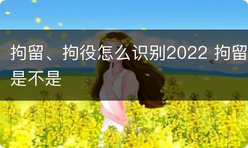 拘留、拘役怎么识别2022 拘留是不是