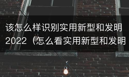 该怎么样识别实用新型和发明2022（怎么看实用新型和发明专利）