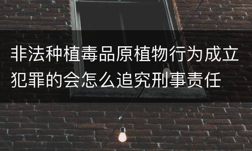 非法种植毒品原植物行为成立犯罪的会怎么追究刑事责任
