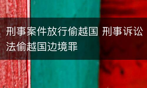 刑事案件放行偷越国 刑事诉讼法偷越国边境罪
