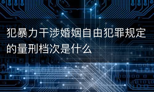 犯暴力干涉婚姻自由犯罪规定的量刑档次是什么
