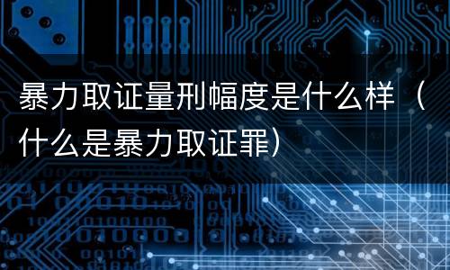 暴力取证量刑幅度是什么样（什么是暴力取证罪）