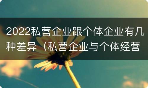2022私营企业跟个体企业有几种差异（私营企业与个体经营企业的区别）