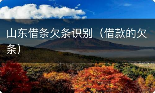山东借条欠条识别（借款的欠条）
