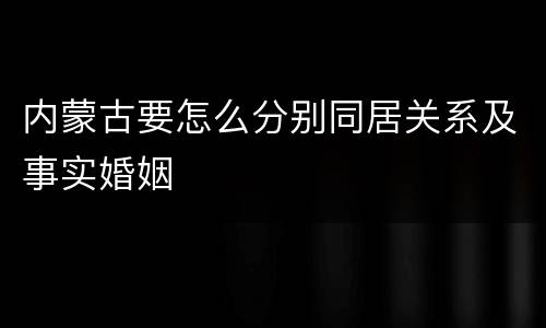 内蒙古要怎么分别同居关系及事实婚姻