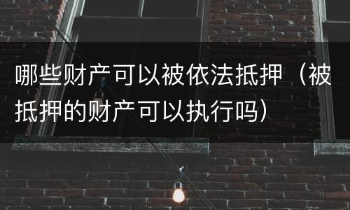 哪些财产可以被依法抵押（被抵押的财产可以执行吗）