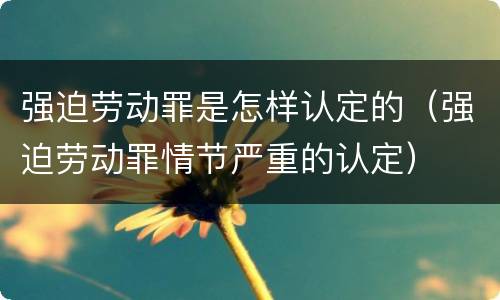强迫劳动罪是怎样认定的（强迫劳动罪情节严重的认定）