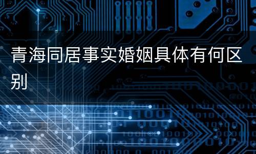 青海同居事实婚姻具体有何区别