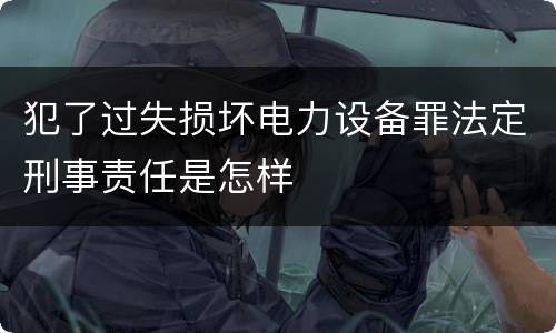 犯了过失损坏电力设备罪法定刑事责任是怎样