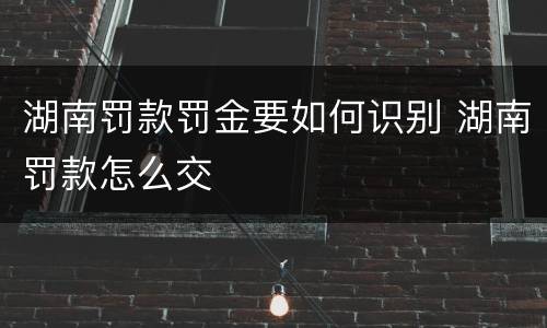 湖南罚款罚金要如何识别 湖南罚款怎么交