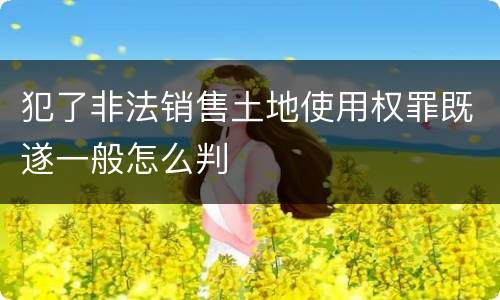 犯了非法销售土地使用权罪既遂一般怎么判