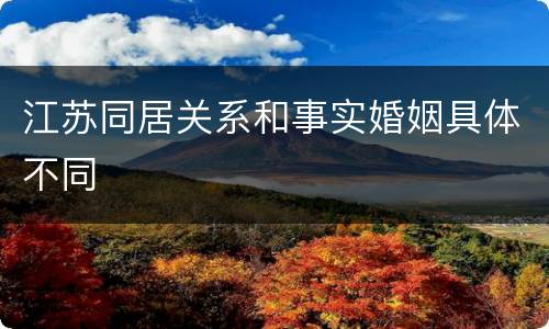 江苏同居关系和事实婚姻具体不同