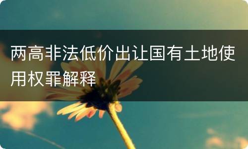 两高非法低价出让国有土地使用权罪解释