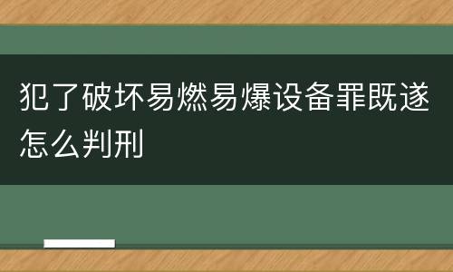 犯了破坏易燃易爆设备罪既遂怎么判刑