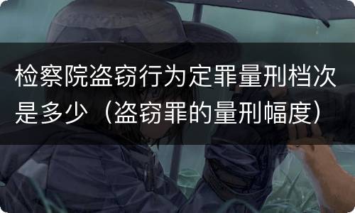 检察院盗窃行为定罪量刑档次是多少（盗窃罪的量刑幅度）