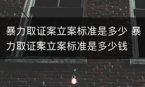 暴力取证案立案标准是多少 暴力取证案立案标准是多少钱