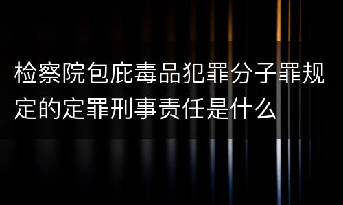 检察院包庇毒品犯罪分子罪规定的定罪刑事责任是什么