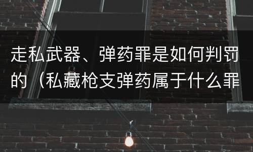 走私武器、弹药罪是如何判罚的（私藏枪支弹药属于什么罪）
