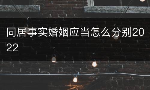 同居事实婚姻应当怎么分别2022