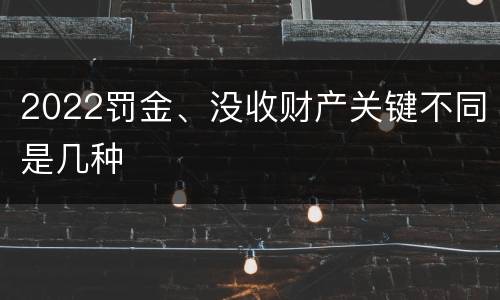 2022罚金、没收财产关键不同是几种