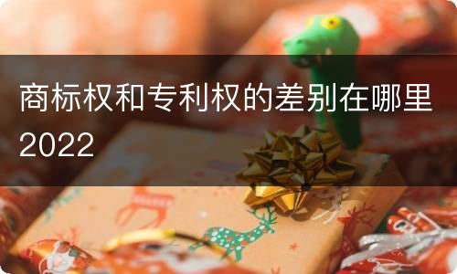 商标权和专利权的差别在哪里2022