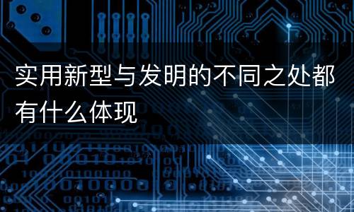实用新型与发明的不同之处都有什么体现