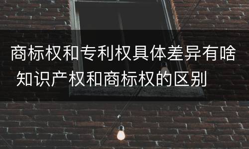 商标权和专利权具体差异有啥 知识产权和商标权的区别