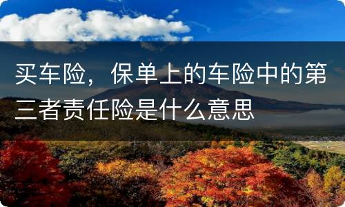 买车险，保单上的车险中的第三者责任险是什么意思